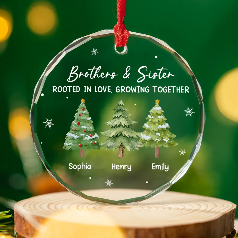 Personalized Crystal Ornament for Siblings – Brothers & Sister Trees, Custom Names, Unique Christmas Gift & Elegant Holiday Décor - Image 3