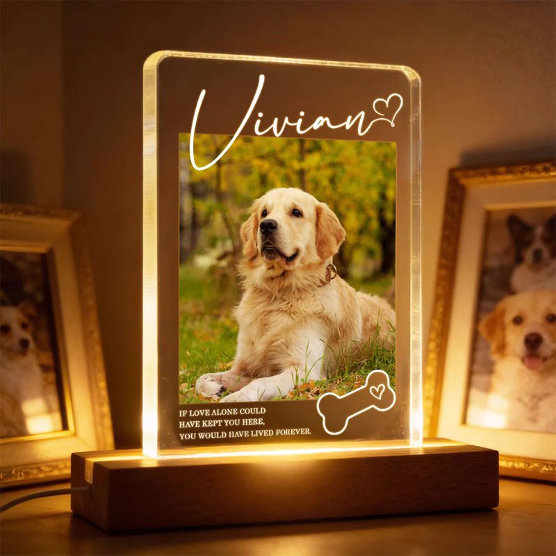 Personalized Pet Memorial Block LED Light Plaque with Custom Photo and Name - Warm Night Light Unique Gift for Dog Lovers - Image 2