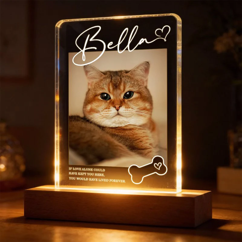 Personalized Pet Memorial Block LED Light Plaque with Custom Photo and Name - Warm Night Light Unique Gift for Dog Lovers - Image 3