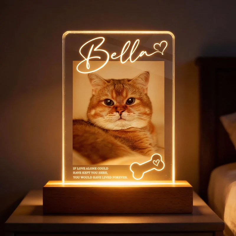 Personalized Pet Memorial Block LED Light Plaque with Custom Photo and Name - Warm Night Light Unique Gift for Dog Lovers - Image 6