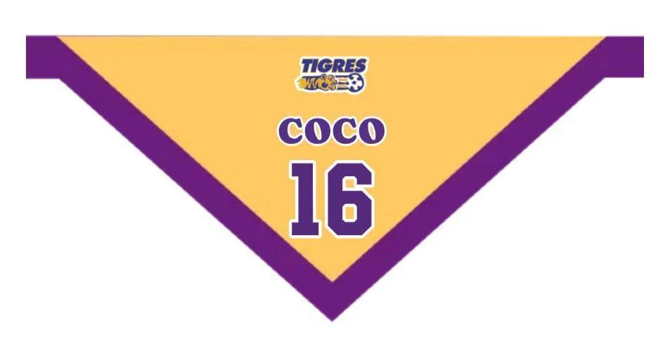 Personalized Pet Bandana - Custom Pet Saliva Towel, Dog Gift, Custom Gifts for Dog Lovers - Image 2
