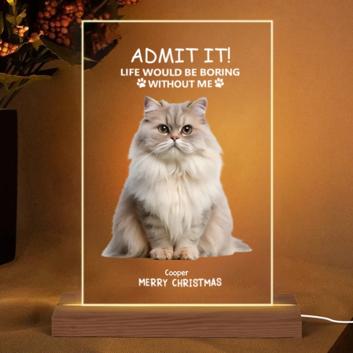 Personalized Christmas Glass Cup - Funny Pet - Themed Gift Cup - Image 8