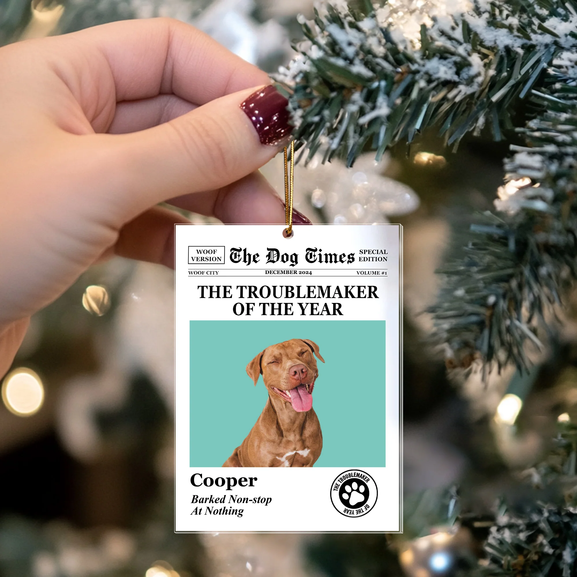 Personalized Pet Ornament – A Loving Tribute to Your Furry Friend - Image 4