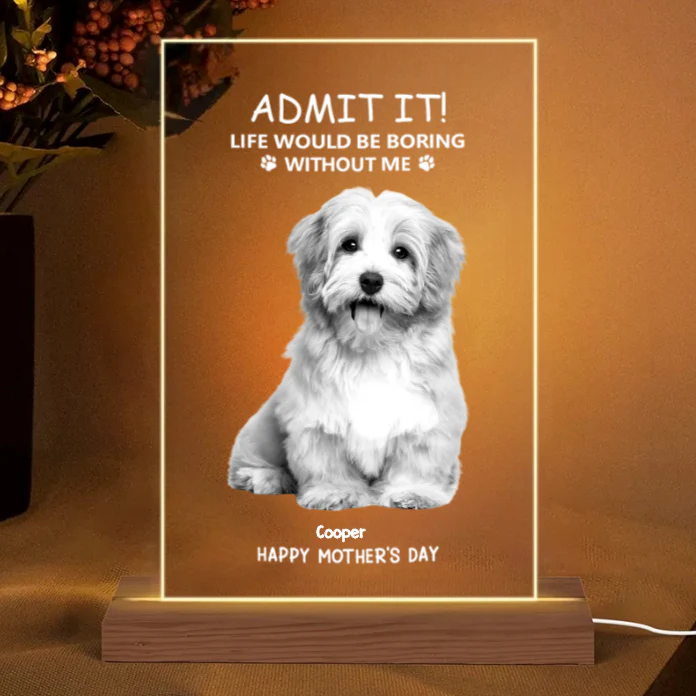 Personalized Glass Whiskey Cup – Mother’s Day Special Gift for Pet Lovers - Image 5