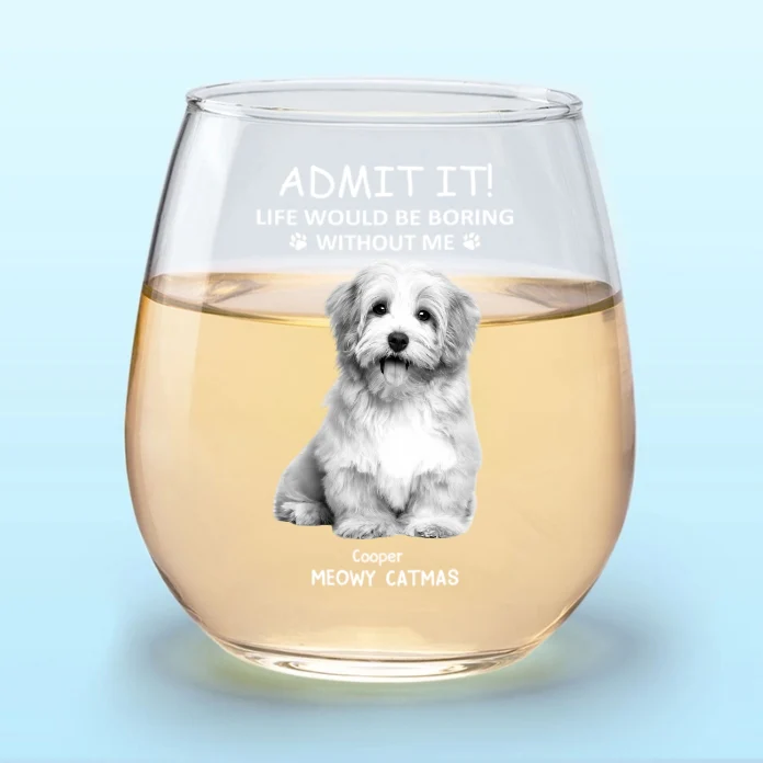 Personalized Beer Glass for Pet Lover Dad – Funny Father's Day Gift from the Dog – Admit Life Would Be Boring Without Me - Image 14