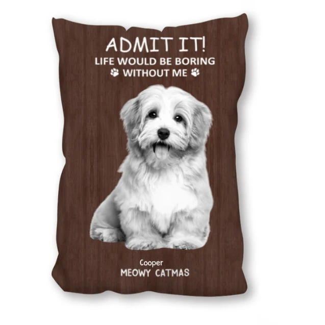 Personalized Beer Glass for Pet Lover Dad – Funny Father's Day Gift from the Dog – Admit Life Would Be Boring Without Me - Image 15