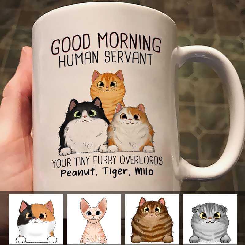 “Good Morning, Human Servant” Custom Cat Name Mug – Furry Overlord Edition - Image 6
